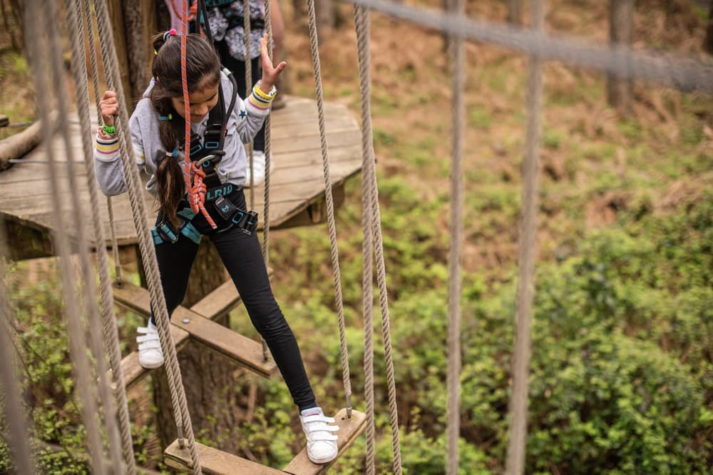 child on the treetop adventure course at go ape