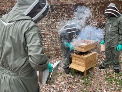 three people inspecting a beehive on a beekeeping experience at fort amherst for two