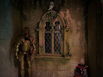 medieval room with suit of amour in the corner next to a window with an owl sitting on top