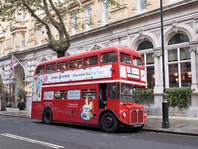 bombay sapphire gin lovers afternoon tea bus tour in london