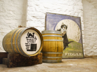 two whisky barrels in a warehouse for a gin and whisky tour