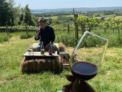 wine and cheese tour in somerset