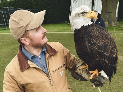 Falconry day out
