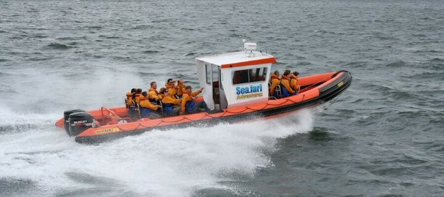 passengers on a south queensferry boat trip with seafari adventures